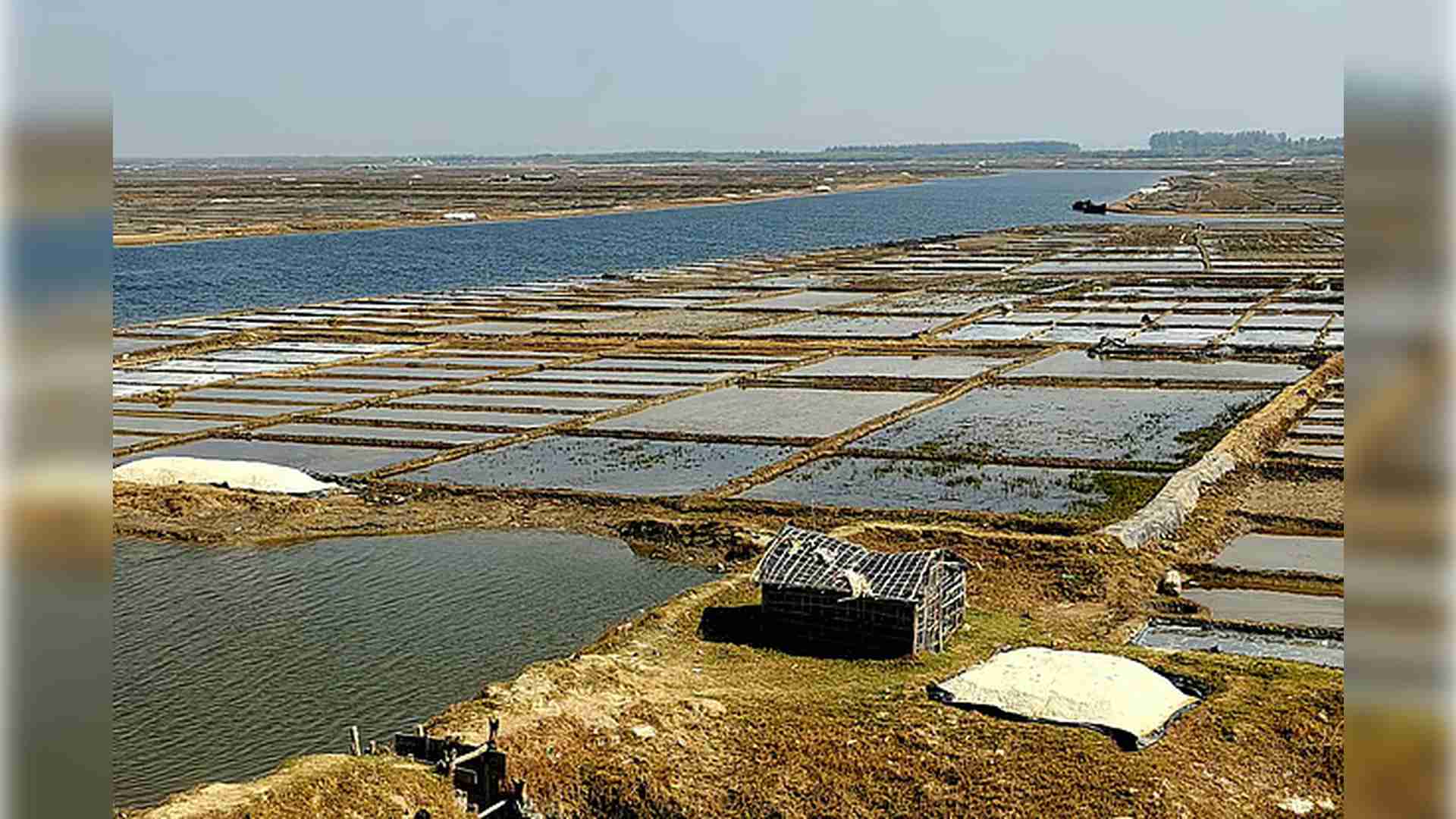 দাম কম, বৃষ্টির ধাক্কা, বিপাকে কক্সবাজারের ৪২ হাজার লবণচাষি